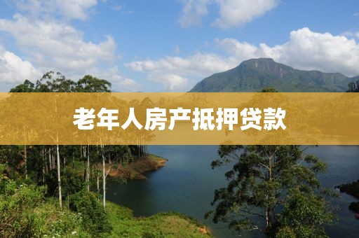 老年人房产抵押贷款
