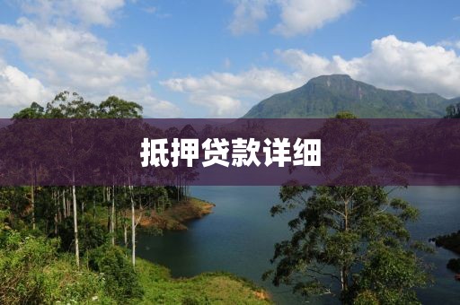 抵押贷款详细