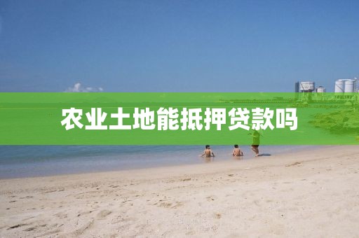 农业土地能抵押贷款吗