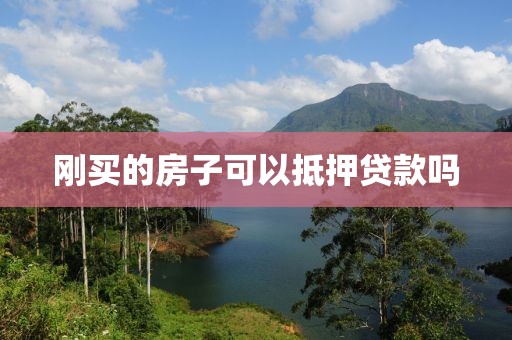 刚买的房子可以抵押贷款吗