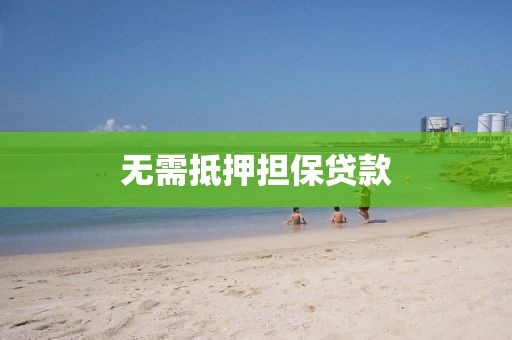 无需抵押担保贷款