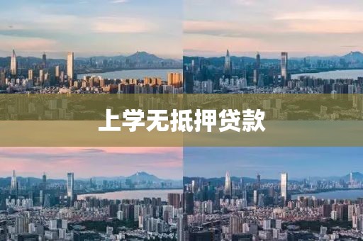 上学无抵押贷款