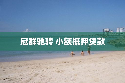 冠群驰骋 小额抵押贷款