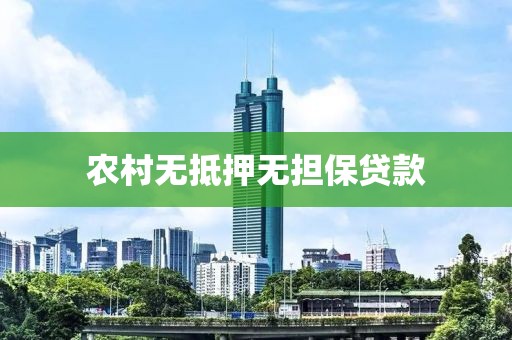 农村无抵押无担保贷款