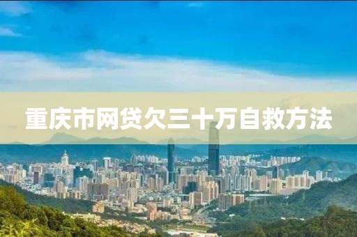 重庆市网贷欠三十万自救方法