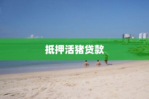 抵押活猪贷款