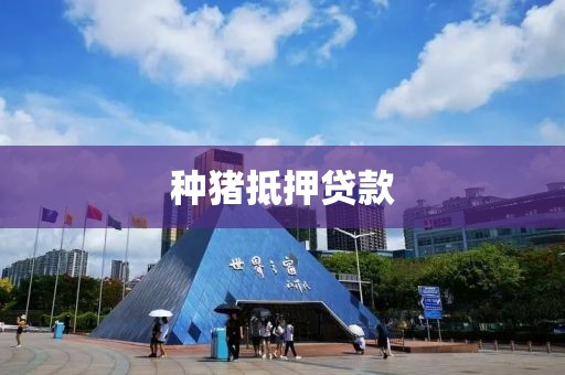 种猪抵押贷款