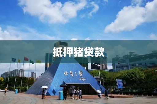 抵押猪贷款