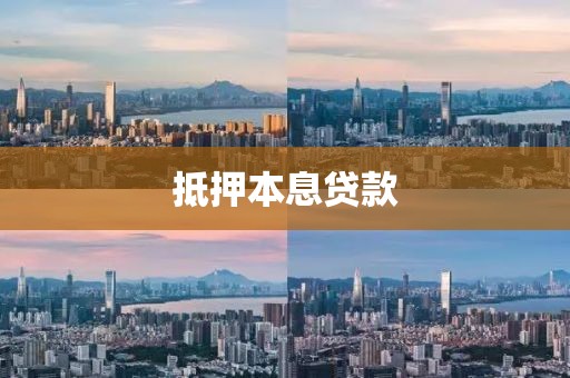 抵押本息贷款