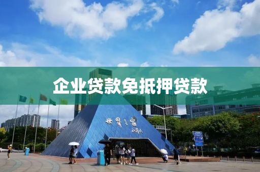 企业贷款免抵押贷款