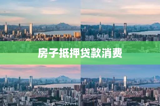 房子抵押贷款消费