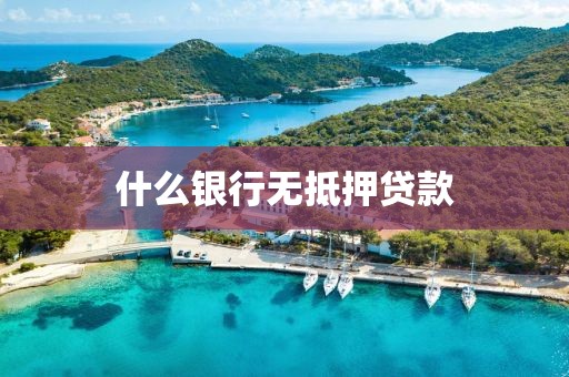 什么银行无抵押贷款