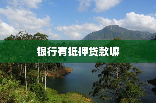 银行有抵押贷款嘛