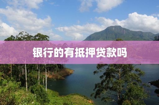 银行的有抵押贷款吗