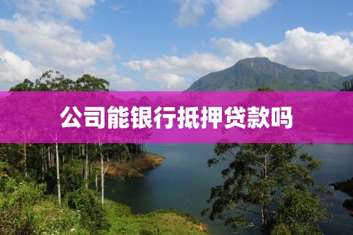 公司能银行抵押贷款吗